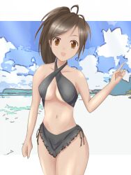  beach bikini brown_eyes brown_hair dark_skin female freesia_york purslane senjou_no_valkyria senjou_no_valkyria_1 sky solo swimsuit 