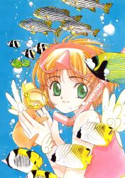  card_captor_sakura clamp kerberos kinomoto_sakura tagme 