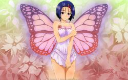  blue_eyes blue_hair blush butterfly_wings female female flower hair_clip hair_ornament hairclip highres lingerie negligee sairenji_haruna short_hair solo to_love-ru toloveru underwear wallpaper wings 