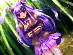  animal_ears bad_id bad_pixiv_id bamboo bamboo_forest blazer blush dutch_angle female forest gift holding holding_gift incoming_gift jacket kobanzame long_hair nature necktie purple_hair rabbit_ears red_eyes red_necktie reisen_udongein_inaba skirt solo touhou valentine very_long_hair 