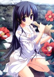  absurdres bathing blue_hair bow bucket camellia clothed_bath female flower hair_ornament hair_ribbon highres hoshizora_e_kakaru_hashi japanese_clothes katateoke kimono koumoto_madoka ladle leaf long_hair miko open_mouth purple_eyes ribbon ryouka_(suzuya) scan sexually_suggestive solo squatting wet wet_clothes white_kimono yukata 