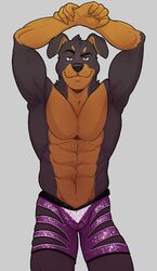  2016 abs anthro arms_above_head athletic bedroom_eyes biceps black_body black_fur bottomwear brown_body brown_fur bulge canid canine canis clothed clothing digital_media_(artwork) domestic_dog fur glitter half-closed_eyes hi_res knuxlight looking_at_viewer male mammal mastiff molosser muscular muscular_anthro muscular_male narrowed_eyes pecs pinup pose rottweiler seductive shorts simple_background solo teasing topless zootopia_shorts 