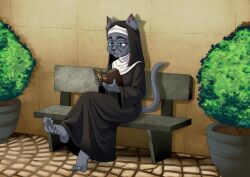  angelica_(on_your_tail) animal_humanoid anthro bench bible_(object) blue_eyes book candid cat_humanoid clothing cyborg-steve domestic_cat elderly feet felid felid_humanoid feline feline_humanoid felis female foot_fetish fur grey_body grey_fur hi_res humanoid mammal mammal_humanoid nun nun_outfit on_your_tail plant plant_pot plantigrade potted_plant reading reading_book robe solo tail whiskers wrinkled_feet wrinkles 