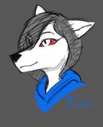  am_comics anthro blue_clothing blue_hoodie blue_topwear canid canid_demon canine clothing demon female fur grey_hair hair hellaverse hellhound helluva_boss hoodie loona_(helluva_boss) mammal mythological_canine mythological_creature mythology red_eyes solo topwear white_body white_fur 
