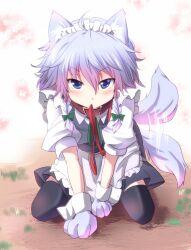  all_fours animal_ears animal_hands black_thighhighs blue_eyes blush braid collar commentary_request dog_ears dog_paws dog_tail female full_body grey_hair grey_tail highres inu_sakuya_(nejikirio) izayoi_sakuya kemonomimi_mode leash leash_in_mouth looking_at_viewer maid maid_headdress mouth_hold offering_leash outdoors sen&#039;yuu_yuuji short_hair solo tail tail_wagging thighhighs touhou twin_braids wrist_cuffs 