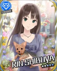  artist_request black_hair canine card_(medium) character_name earrings female flower_shop gem_(symbol) green_eyes hanako_(idolmaster) idolmaster idolmaster_cinderella_girls jewelry long_hair necklace official_art shibuya_rin shirt shop smile solo star_(symbol) yorkshire_terrier 