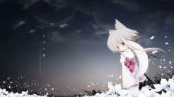  animal_ears flowers japanese_clothes miko night nopan original p19 sky stars tail 