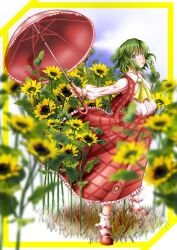  ascot blue_sky blurry border bud cloud commentary_request depth_of_field dress_shirt female flower frills grass green_eyes green_hair kazami_yuuka kneehighs lips long_sleeves looking_at_viewer makoto5391 mary_janes outdoors outstretched_arms parted_lips photoshop_(medium) puffy_sleeves shirt shoes skirt sky socks solo standing sunflower touhou umbrella vest wind 