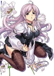  :o ahoge arm_support black_thighhighs blush bondage bondage bound braid breasts chains cleavage collar eun_ami female floral_background floral_print flower highres lace large_breasts leaning_forward leash lily_(flower) long_hair looking_at_viewer open_mouth purple_eyes purple_hair scan simple_background sitting slave solo soo-hyon_lee thighhighs twin_braids unbalance_unbalance wariza white_flower white_lily 