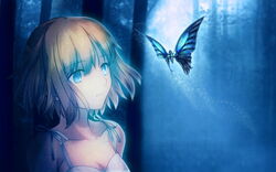  butterfly photoshop short_hair takeuchi_takashi tsuki_no_sango type-moon 