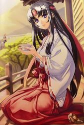  animal bird black_hair female japanese_clothes long_hair miko purple_eyes queen&#039;s_blade seiza sitting solo tomoe 