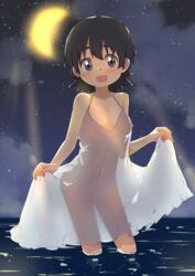  absurdres bad_id bad_pixiv_id blush breasts brown_hair bural_chingu cleavage dress eyebrows female highres looking_at_viewer night open_mouth outdoors purple_eyes see-through see-through_silhouette seong_mi-na_(bural_chingu) short_hair skirt_hold small_breasts smile solo sundress tareme wading water white_dress wweed 