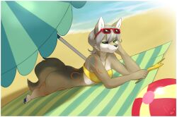  anthro beach bikini bottomless canid canine canis clothed clothing conditional_dnp eyewear female heterochromia lintu looking_at_viewer mammal on_towel outside seaside skimpy solo sunbathing sunglasses swimwear towel under_shade wolf 