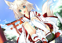  :d animal_ear_fluff animal_ears bad_id bad_pixiv_id blonde_hair blue_eyes blue_sky cloud cloudy_sky detached_sleeves dutch_angle female fox_ears hair_ornament hakama japanese_clothes looking_at_viewer miko okobo open_mouth original outdoors photoshop_(medium) red_hakama ribbon-trimmed_sleeves ribbon_trim sandals shirokitsune shiroro sky smile solo squatting tail thighhighs torii wolf_ears wolf_girl wolf_tail 