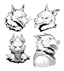  2024 ambiguous_gender anthro bust_portrait canid digital_drawing_(artwork) digital_media_(artwork) ears_back empty_eyes floppy_ears folded_ears front_view greyscale group headshot_portrait hi_res inner_ear_fluff kingarthur_i looking_aside looking_at_viewer mammal monochrome mouth_closed neck_tuft open_mouth open_smile pivoted_ears pointy_ears portrait prick_ears sharp_teeth side_view simple_background smile snout teeth tongue_showing tuft whiskers white_background 