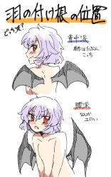  bad_id bad_link bad_twitter_id bat_(animal) blush female oerba_yun_fang open_mouth purple_hair rebecca_(keinelove) red_eyes remilia_scarlet short_hair smile solo touhou wings 