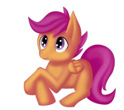  alpha_channel equid equine fauxsquared feathered_wings feathers female feral friendship_is_magic hair hasbro hi_res mammal my_little_pony mythological_creature mythological_equine mythology orange_body orange_feathers pegasus purple_eyes purple_hair quadruped scootaloo_(mlp) simple_background smile solo tail transparent_background wings young young_feral 