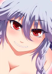  bad_id bad_pixiv_id braid breasts cleavage close-up commentary_request female grey_hair grin hayashi_custom izayoi_sakuya medium_breasts photoshop_(medium) red_eyes smile solo stuffed_toy touhou twin_braids 