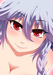  bad_id bad_pixiv_id blush braid breasts cleavage close-up commentary_request female grey_hair hayashi_custom izayoi_sakuya medium_breasts photoshop_(medium) red_eyes smile solo touhou twin_braids 