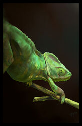  2010 abstract_background ambiguous_gender black_border black_eyes border branch chameleon feral green_body green_eyes green_skin hi_res in_tree lizard looking_at_viewer looking_back novawuff on_branch perched plant portrait reptile scalie solo standing tree veiled_chameleon walking 