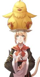  ahoge animal_ears animal_on_head cat_ears cat_tail chocobo facial_mark fat_chocobo female final_fantasy final_fantasy_xiv frown green_eyes hand_gesture highres looking_up miqo&#039;te obi ojiki on_head sash simple_background solo tail warrior_of_light_(ff14) white_background 