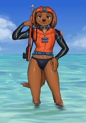  2022 absurd_res anthro armor athletic bird_dog black_clothing black_speedo black_swimwear black_underwear blue_sky bottomless bottomless_male brown_body brown_fur brown_nose brown_tail canid canine canis clothed clothing cloud diacordst domestic_dog eyebrows fluffy fluffy_tail fur hand_on_hip harpoon harpoon_gun headgear helmet hi_res hunting_dog labrador long_sleeves male mammal melee_weapon orange_clothing orange_shirt orange_topwear orange_vest partially_submerged paw_patrol polearm pose raised_eyebrow retriever scuba_diver scuba_gear sea shirt sky slim smile smirk smug solo spear speedo standing_in_water swimwear tail tight_clothing topwear underwear vest water weapon wetsuit yellow_eyes zuma_(paw_patrol) 