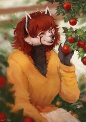  2022 ailurid anthro black_body black_fur breasts clothed clothing digital_media_(artwork) female fur mammal orange_eyes red_panda roksi smile solo sunnyowi 