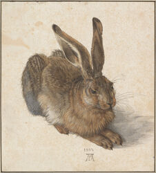  1502 16th_century absurd_res albrecht_durer ambiguous_gender ancient_art brown_body brown_eyes brown_fur claws detailed european_hare feral formal_art fur gouache_(artwork) hare hi_res lagomorph leporid long_ears mammal no_sclera nude painting_(artwork) public_domain quadruped realistic solo toe_claws traditional_media_(artwork) watercolor_(artwork) whiskers 