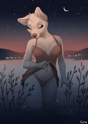  2022 5_fingers anthro breasts camel_toe canid canine canis closed_eyes clothed clothing clothing_lift detailed_background digital_media_(artwork) dress dress_lift eyebrows eyelashes female fingers foufi hi_res mammal navel night outside panties partially_submerged sky solo standing star starry_sky underwear wolf 