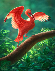  2020 ambiguous_gender avian beak bird day detailed_background digital_media_(artwork) feathered_wings feathers feral hi_res ibis johis outside pelecaniform realistic scarlet_ibis solo threskiornithid wings 