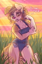  2019 absurd_res anthro breasts brown_hair canid canine canis clothed clothing dialogue digital_media_(artwork) dimmi_(character) dimwitdog domestic_dog english_text female fur green_eyes hair hi_res mammal outside overalls solo standing text 