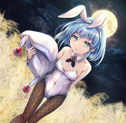  animal_ears bare_shoulders blue_hair blurry blurry_background breasts brown_pantyhose collar commentary_request covered_navel depth_of_field dutch_angle fake_animal_ears feet_out_of_frame female fishnet_pantyhose fishnets full_moon green_eyes hairband hat hecate_(shakugan_no_shana) highres holding holding_clothes holding_hat leotard looking_at_viewer medium_breasts moon night night_sky outdoors pantyhose playboy_bunny rabbit_ears shakugan_no_shana sky solo star_(sky) starry_sky strapless strapless_leotard susuki_grass tachitsu_teto thigh_gap tsukimi unworn_hat unworn_headwear wheat_field white_collar white_hairband white_headwear white_leotard wing_collar wrist_cuffs 