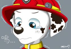  armor black_nose black_spots blue_eyes bodily_fluids canid canine canis clothing collar dalmatian domestic_dog feral firefighter_helmet floppy_ears fur headgear helmet hi_res male mammal marshall_(paw_patrol) nickelodeon paw_patrol red_clothing red_helmet red_topwear red_vest solo spots tears topwear trc001 vest white_body white_fur yellow_collar 