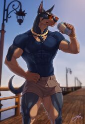  5_fingers anthro beverage black_body black_fur black_nose bottomwear brown_body brown_fur canid canine canis clothed clothed_anthro clothed_male clothing dobermann domestic_dog drinking eyewear feralise fingers fur hi_res humanoid_hands jewelry male mammal multicolored_body multicolored_fur muscular muscular_anthro muscular_male navel necklace outside pinscher shirt shorts solo sunglasses tail topwear two_tone_body two_tone_fur 