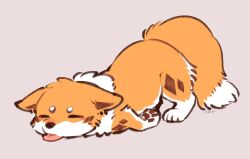  2026 ambiguous_gender ass_up black_nose blep blush brown_markings brown_pawpads canid canine canis closed_eyes digital_media_(artwork) dipstick_tail domestic_dog ears_down facial_markings female_(lore) feral fluffy fluffy_tail fox fur head_markings hybrid kitsuneinu mammal markings monotone_background multicolored_body multicolored_fur orange_body orange_fur orange_tail pawpads paws pink_tongue pivoted_ears pointy_ears prick_ears quadruped signature simple_background snout solo tail tail_markings tongue tongue_out tsukune_minaga white_body white_fur white_tail_tip 