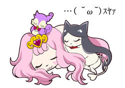  affectionate animal_focus aroma_(go!_princess_precure) bad_id bad_pixiv_id bird canine commentary_request cuddling feline female go!_princess_precure miss_siamour no_humans ono_toshihiro precure puff_(go!_princess_precure) sleeping 