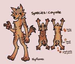  2024 anthro biped black_eyes brown_body brown_fur canid canine canis coyote english_text fur looking_at_viewer male mammal model_sheet orange_body orange_fur slim_anthro slim_male solo standing tayfennec text yellow_sclera 