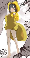  absurdres animal_ears animal_hood barefoot black_hair bottomless closed_mouth commentary_request female flower_knot fox_ears fox_girl fox_hood fox_tail full_body green_eyes hair_ornament hand_up highres holiday_holiday_(love_live!) holiday_holiday_(tenko)_(love_live!) hood hoodie kemonomimi_mode link!_like!_love_live! llb love_live! momose_ginko outdoors short_hair smile solo standing tail toes virtual_youtuber yellow_hoodie 