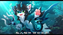  2022 2_horns anthro big_eyes blue_horn domestic_cat felid feline felis fish fur green_eyes hlg7777 horn hybrid kemono male mammal marine melee_weapon nude_anthro nude_male open_mouth pawpads pink_pawpads polearm shark slim_anthro slim_male solo trident underwater water weapon white_body white_fur 