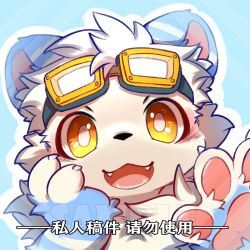  1:1 2021 anthro big_eyes blue_body blue_fur eyewear eyewear_on_head felid fur goggles goggles_on_head hlg7777 kemono looking_at_viewer male mammal open_mouth pantherine pawpads pink_pawpads slim_anthro slim_male solo tiger white_body white_fur yellow_eyes 