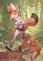  animal animal_ear_fluff animal_ears bare_shoulders breasts brown_skirt commentary_request dhole dhole_(kemono_friends) dog_ears dog_girl dog_tail female gloves kemono_friends kemono_friends_3 leaf medium_breasts miniskirt multicolored_hair official_art open_mouth orange_hair outdoors pleated_skirt running shirt short_hair skirt sleeveless sleeveless_shirt so-taro standing tail thighhighs tree watermark white_footwear white_gloves white_hair zettai_ryouiki 