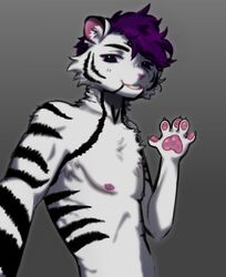  anthro black_stripes chest_tuft felid feline fluffy freyr_(wap) fur hair looking_at_viewer male mammal moojuicers pantherine pawpads paws purple_eyes purple_hair raised_paw solo striped_body striped_fur stripes tiger tuft white_body white_fur 