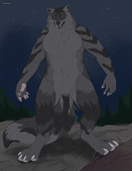  anthro arm_markings artist_name black_nose blue_eyes canid canine canis cheek_tuft claws facial_tuft fangs featureless_crotch finger_claws front_view full-length_portrait fur grey_body grey_fur hi_res male mammal markings mythological_canine mythological_creature mythology navel neck_tuft night nude open_mouth outside portrait red_tongue rock roobin solo standing star teeth toe_claws tongue tuft were werecanid werecanine werewolf white_claws wolf 