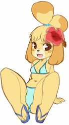  animal_crossing anthro bikini breasts canid canine canis clothing coffeechicken digital_media_(artwork) domestic_dog fangs female flower footwear hi_res hibiscus isabelle_(animal_crossing) mammal navel nintendo plant sandals shih_tzu simple_background solo swimwear teeth toy_dog 