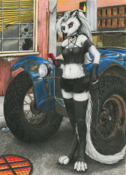  alister_(artist) anthro big_tail black_bottomwear black_clothing black_collar black_crop_top black_ears black_inner_ear black_legwear black_nose black_shirt black_shorts black_stockings black_thigh_highs black_topwear bottomwear canid canid_demon canine cellphone clothing collar crop_top demon digitigrade ear_piercing ear_ring electronics female fur grey_body grey_fur grey_hair grey_inner_ear_fluff grey_tail hair hellaverse hellhound helluva_boss hi_res holding_cellphone holding_object holding_phone holding_smartphone inner_ear_fluff legwear long_hair long_tail looking_at_cellphone looking_at_object looking_at_phone loona_(helluva_boss) mammal midriff mythological_canine mythological_creature mythology navel occult_symbol pentagram pentagram_top phone piercing pupils red_sclera ring_piercing shirt shorts slit_pupils smartphone solo spiked_collar spikes stockings symbol tail thigh_highs topwear tuft vehicle wearing_collar white_body white_eyes white_fur 