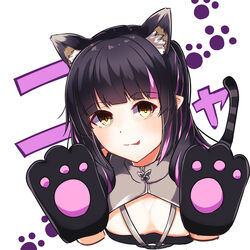  animal_ears animal_hands black_hair black_tube_top blunt_bangs blush breasts cat_ears cat_tail cleavage closed_mouth commentary_request dameyoshi female gloves grey_sweater highres kemonomimi_mode kojo_anna kojo_anna_(2nd_costume) long_hair looking_at_viewer medium_breasts multicolored_hair nanashi_inc. no_horns official_alternate_costume paw_gloves paw_print paw_print_background pink_hair pointy_ears shrug_(clothing) smile solo strapless sugar_lyric sweater tail tongue tongue_out tube_top two-tone_hair upper_body virtual_youtuber white_background yellow_eyes 