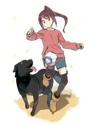  animal ball blue_shorts blush boots breasts brown_eyes brown_footwear brown_hair canine commentary_request denchuubou dribbling_(basketball) falling_leaves female ginga_e_kickoff!! grin jumping leaf long_sleeves ponytail purple_scrunchie red_eyes scrunchie shorts sidelocks simple_background sleeves_past_wrists small_breasts smile soccer_ball sweater takatoo_erika thighhighs tongue tongue_out 