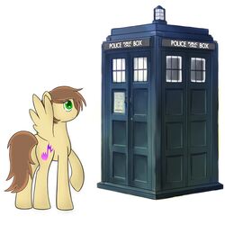  angel914 british_broadcasting_corporation cutie_mark doctor_who door equid equine feathered_wings feathers female feral green_eyes handle hasbro hi_res light mammal mane my_little_pony mythological_creature mythological_equine mythology pegasus police_box simple_background solo tardis white_background window wings 