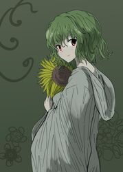  alternate_costume bad_id bad_twitter_id dress eyebrows female flower gown green_background green_hair holding hood hood_down kazami_yuuka looking_at_viewer oshouyu_tabetai red_eyes simple_background smile solo sunflower touhou 