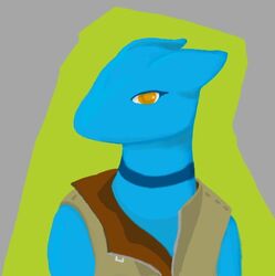  anthro biped blue_body blue_markings brown_clothing brown_topwear choker_(marking) clothed clothing digital_media_(artwork) ears_back female front_view fully_clothed green_outline half-length_portrait kobold looking_at_viewer markings mouthless orange_eyes outline pivoted_ears portrait scalie solo topwear unknown_artist 